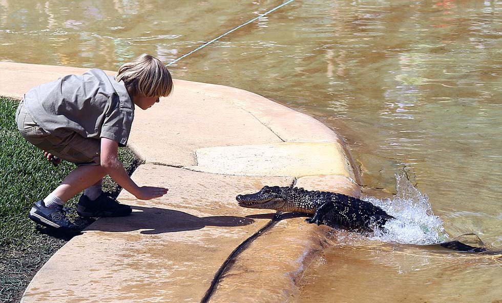 这个勇敢的10岁男孩等着幼年鳄鱼出水,在人群面前喂它食物。