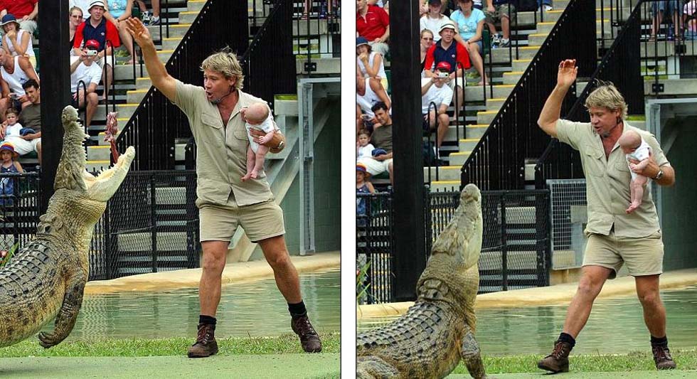 2004年,澳“鳄鱼捕手”史蒂夫·欧文曾抱着还是婴儿的罗伯特喂食鳄鱼,此举曾引发争议。