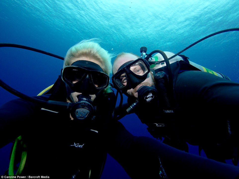 海洋生物学家拍摄到杀人鲸围猎鲨鱼的影片