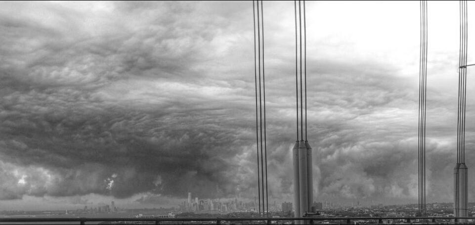 ����ŦԼ��ճ�����ʮ�ֺ������Ʋ����