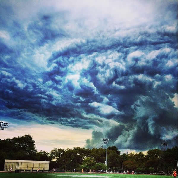 ����ŦԼ��ճ�����ʮ�ֺ������Ʋ����