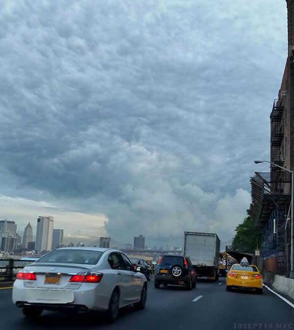 ����ŦԼ��ճ�����ʮ�ֺ������Ʋ����