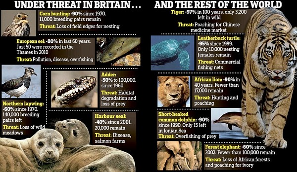 Ȼ2014ꡰ桱ȫҰڽ40ʧһ