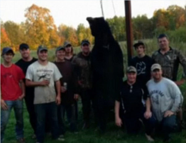 ���������մ���Ұ�⾪����ɱ230��������