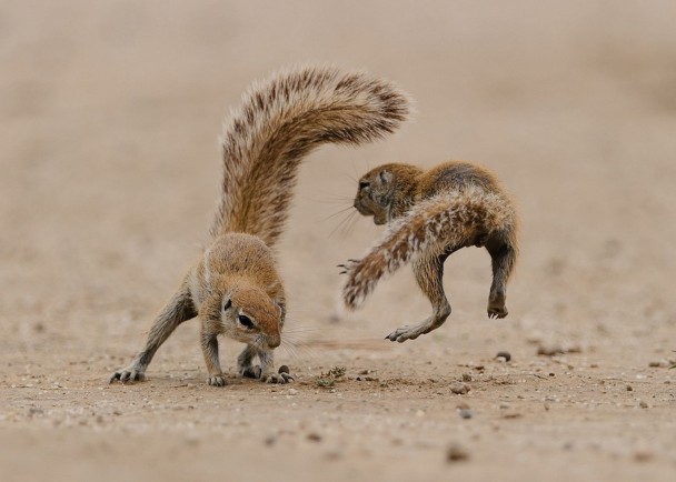 �Ϸǹ�԰��ֻ����������ˣ����