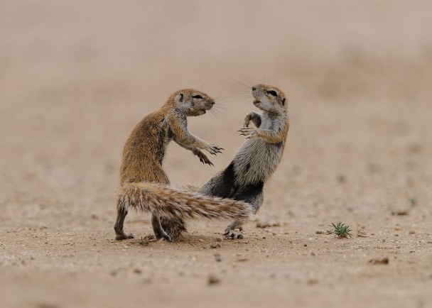 �Ϸǹ�԰��ֻ����������ˣ����