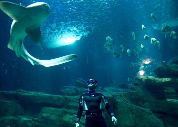 Ԫ���ܿ���������Ǳˮ��;