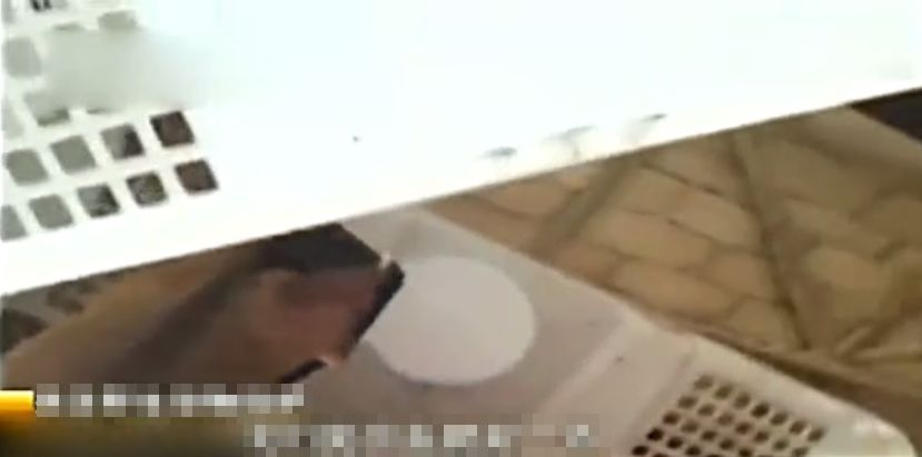 店铺出售受伤的黄麂