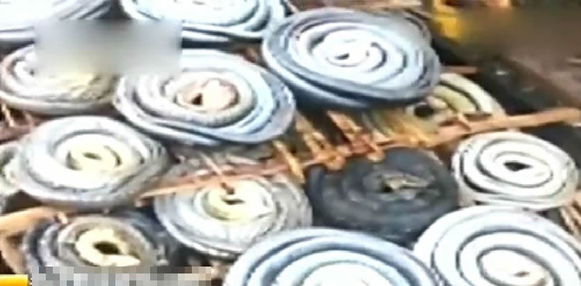 蛇铺杀数十条蛇后,卷成盘状出售。