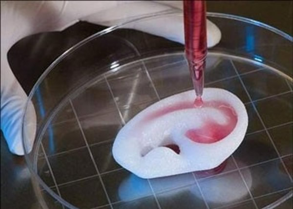 Ӣ����ѧ�Ҽƻ�����3D��ӡ������ӡ���� Ϊ����������͵Ķ�ͯ��������