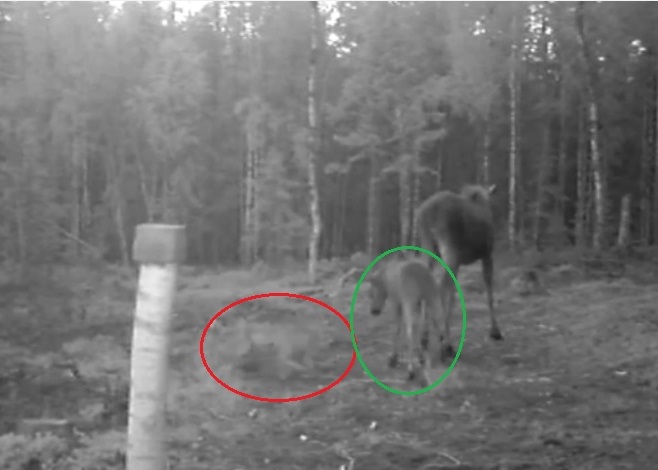 Ұ��(��Ȧ)�ӿ�϶��������¹(��Ȧ)