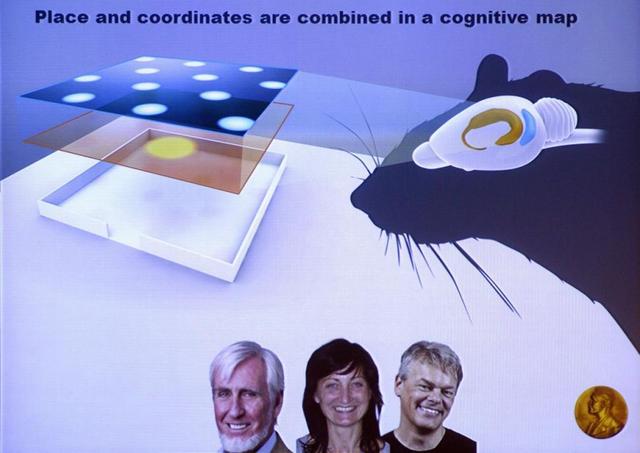 ���2014ŵ��������ѧ��ҽѧ���еĿ�ѧ����