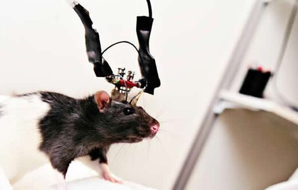 Ī��򸾵��Ŷ�������Ĵ����ڷ�����һ�ֶ�λϸ��