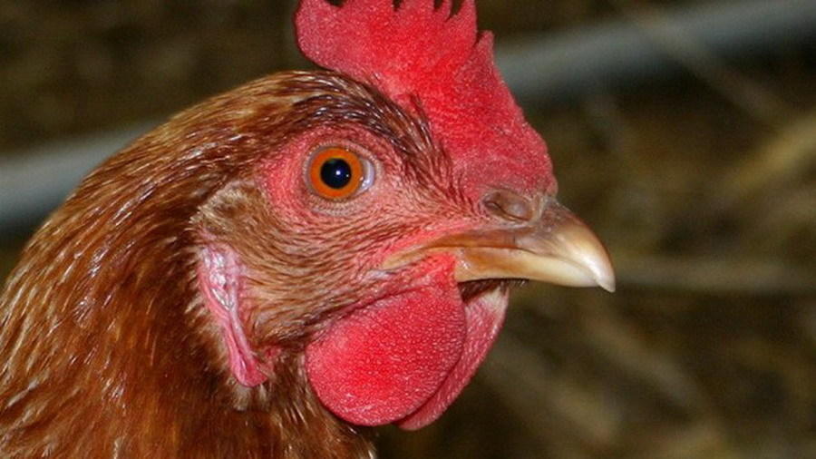 ��״̬����