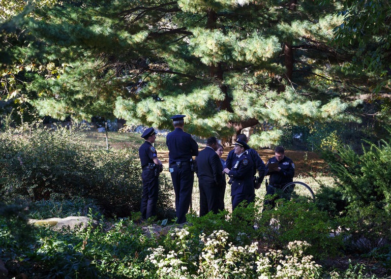 警员在小熊伏尸现场调查