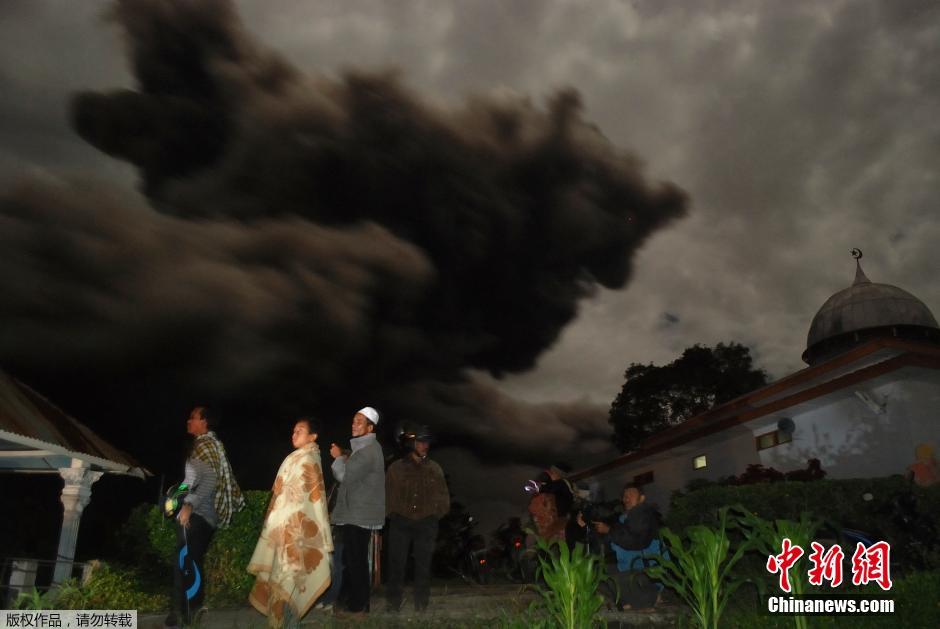 ӡ�����Ŵ��������������������ɽ�緢