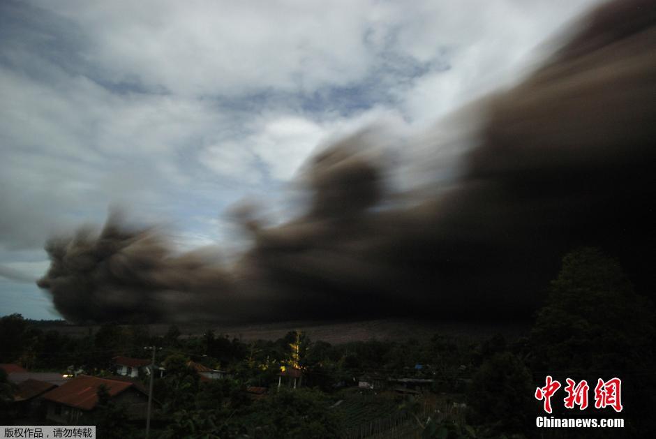 ӡ�����Ŵ��������������������ɽ�緢