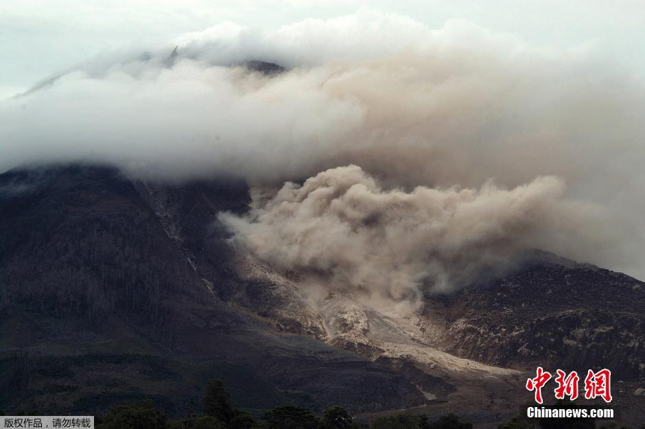 ӡ�����Ŵ��������������������ɽ�緢