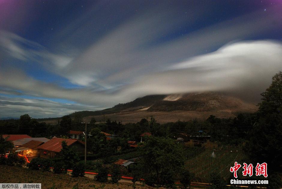 ӡ�����Ŵ��������������������ɽ�緢