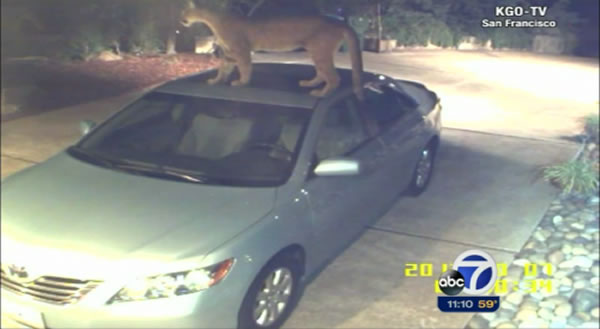 ɽʨ����ҹɫ���������ɽ�ɽʥ����һ��ס�ҳ�������