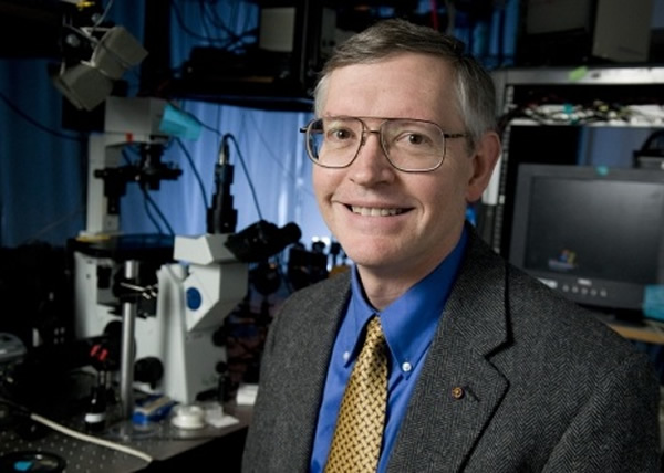 Ī�����з�Ϊ��һ������΢�����ϵ��