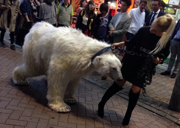 金发美女带着北极熊在涩谷街上行走