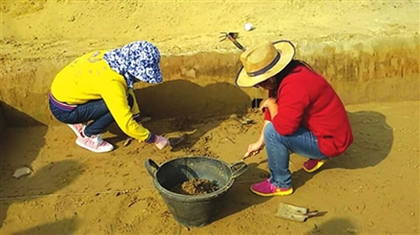 宁夏青铜峡市鸽子山旧石器遗址出土万余件旧石器文化遗物