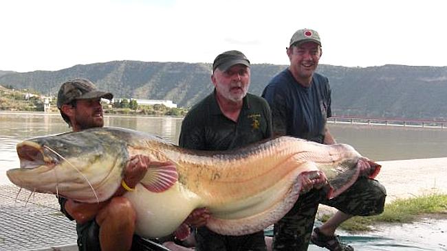 Ӣ��������һСʱ����̵����Ƽ�¼���Ͱ׻�����