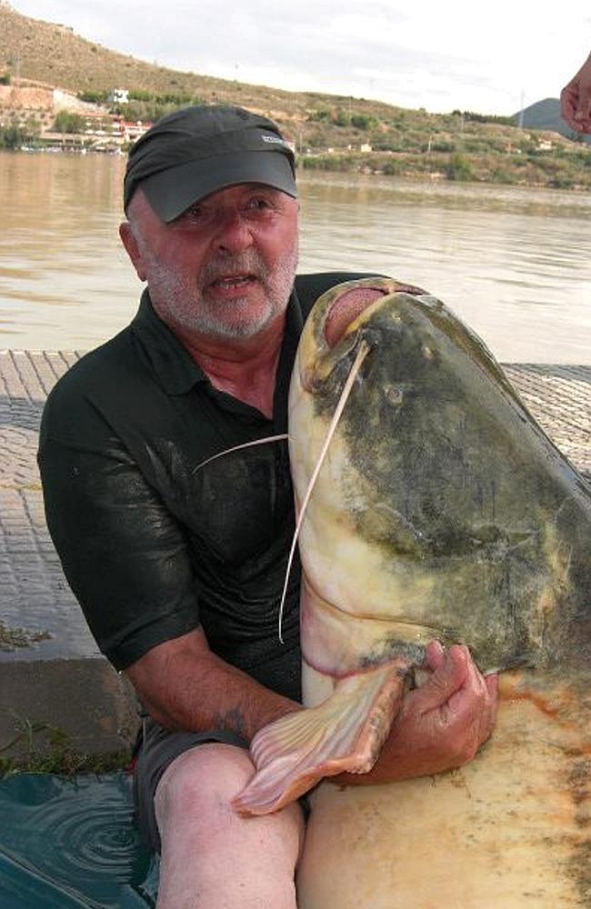 Ӣ��������һСʱ����̵����Ƽ�¼���Ͱ׻�����