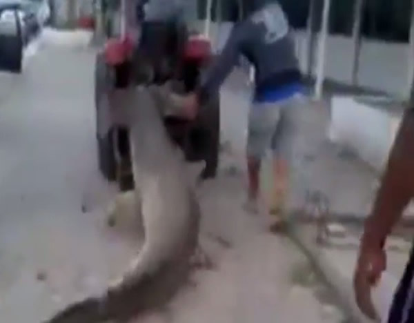 �����̬��������������һ�������ϰ�����Ȼ����Ĵ�ͷ��