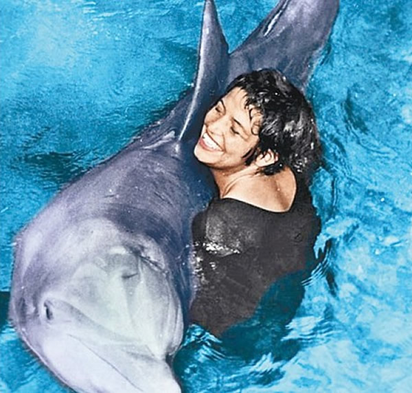 BBC纪录片讲述雄性海豚爱上女教师并最终殉情