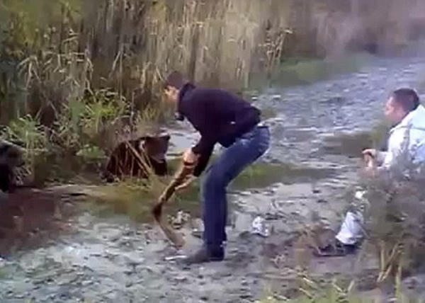 �����ó����ܽӽ����ܣ�����(��)�����ԡ���ս����