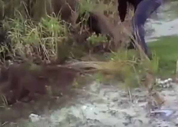 �������ź��ܵ�ͷ����ȥ���ַ����̡�