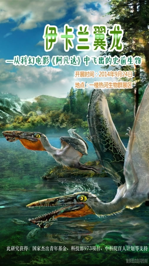 中国古动物馆“阿凡达伊卡兰翼龙”特展