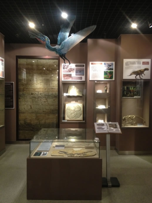 中国古动物馆“阿凡达伊卡兰翼龙”特展
