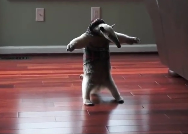 ʳ����ͻȻ��������˫��վ�𣬲��ſ�˫�֣�¶��������һ�档