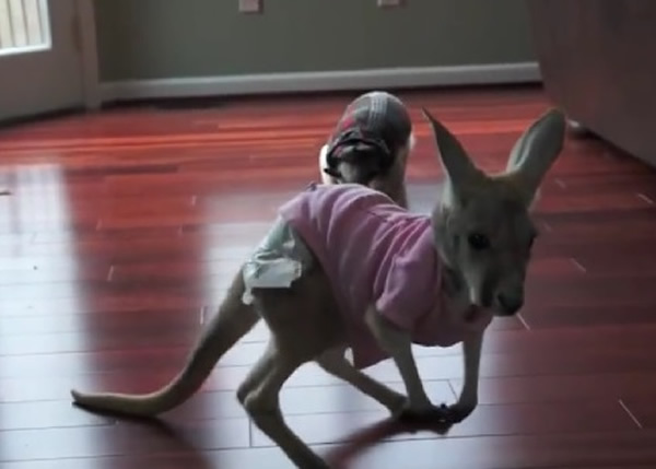 С�����״���ŵ���Ķ��ӡ�