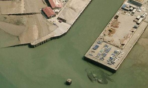 ���ĵ�һֻ���������з������Ӣ����ͷǳˮ����