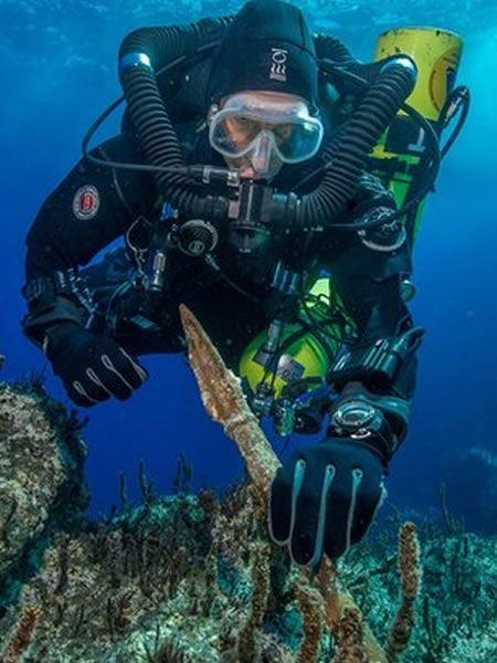 ʿѧСھһ2000ǰʧµĹųк