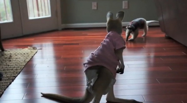 Ϊ���ߴ��� ʳ����վ������