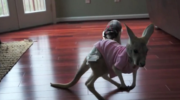 Ϊ���ߴ��� ʳ����վ������