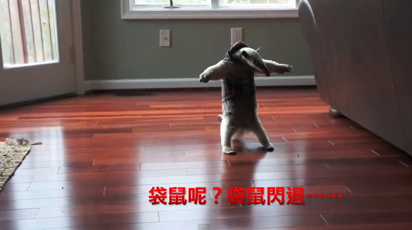 Ϊ���ߴ��� ʳ����վ������