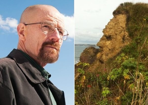 亦有网民将之与《绝命毒师》的男主角怀特相提并论。