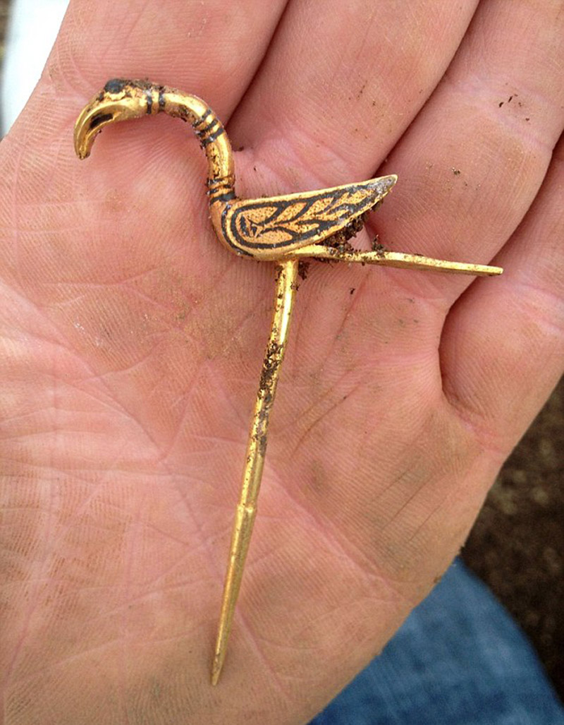 图为这次发现的一支金针,在苏格兰埋了几个世纪。