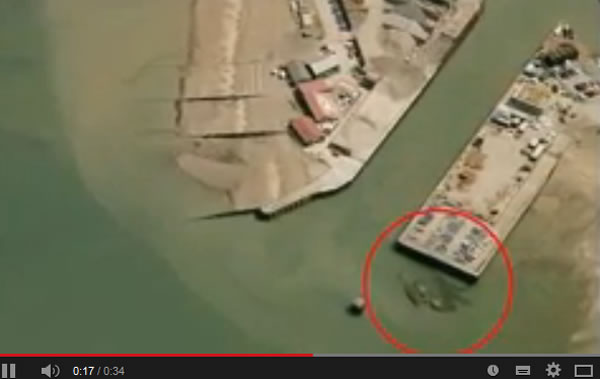 英国水域存在“螃蟹巨怪”?