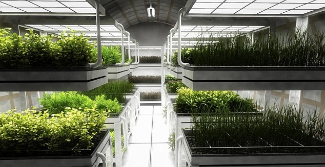 Mars One计划在火星上种农作物