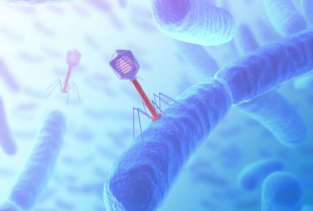 美国生物学家在人体内发现一种新型病毒“crAssphage”
