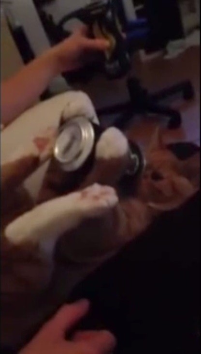 艾尔弗雷德喝得四脚朝天,看似非常享受嘴里的啤酒。