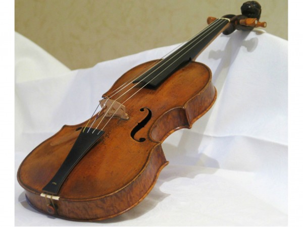 小提琴的进化树