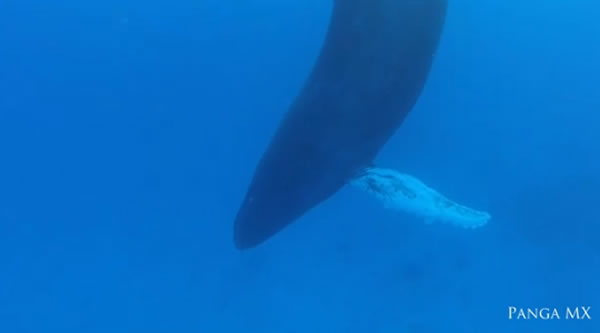 ���㵽����20������ͷ��˯�������ͷ